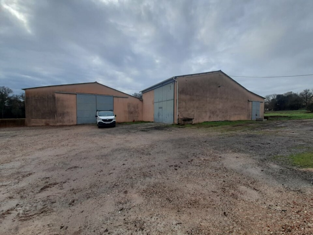 Photo 2 – location Entrepôts / activités	LE CANNET DES MAURES (83340)