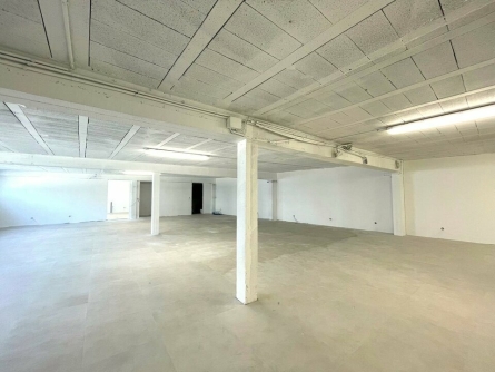 Photo 8 – vente Entrepôts / activités	NICE (06300)