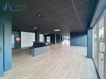 Photo 1 – location Locaux commerciaux	SAINT LAURENT DU VAR (06700)