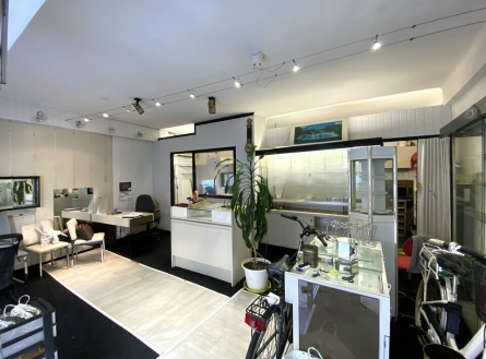 Photo 1 – vente Locaux commerciaux	NICE (06200)